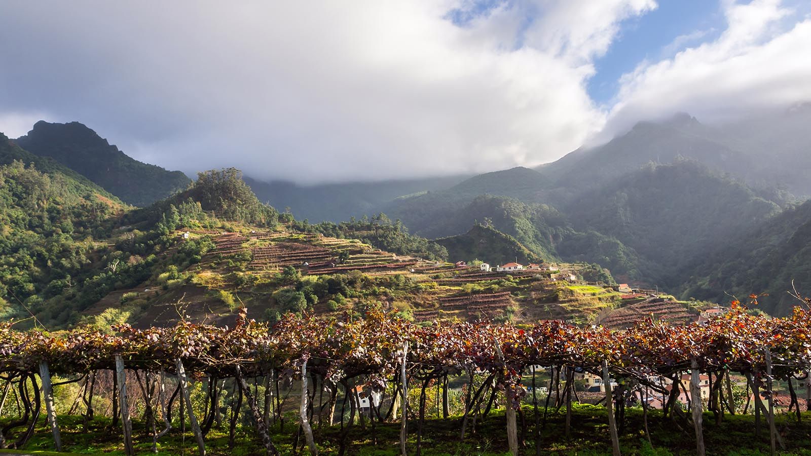 Madeira Island