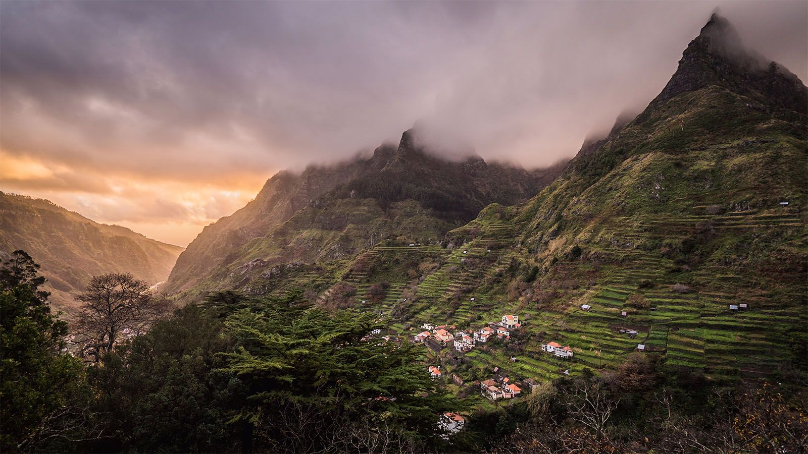 Madeira Island